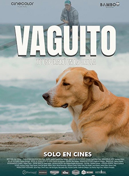 VAGUITO