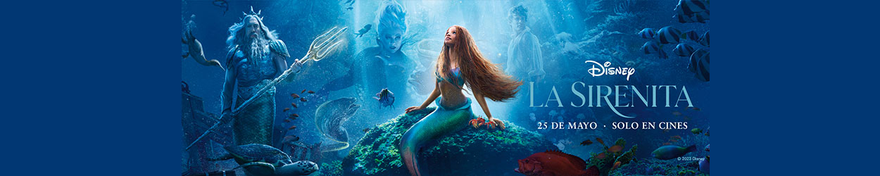 Imagen de detalle de la película